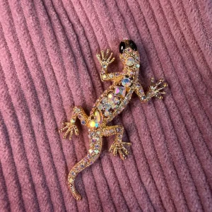 Broche Salamandre Melle D