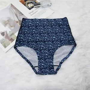 Culotte Léopard Taille Haute Bleue